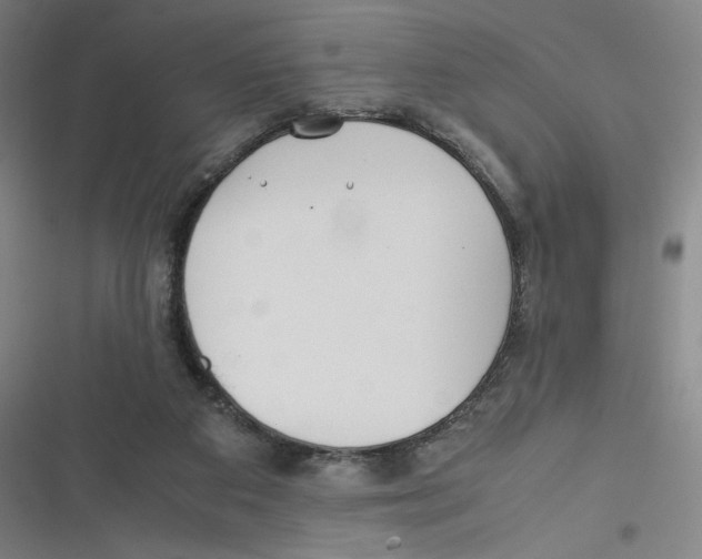 X0000116620113201001081240