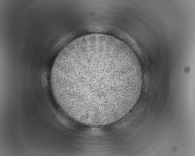 X0000116620114201001081240