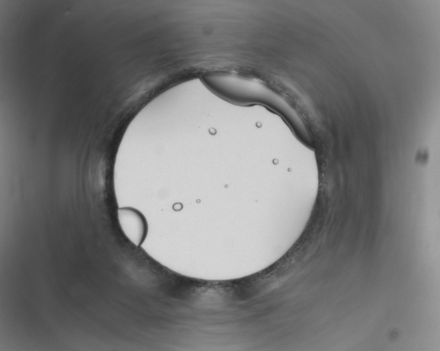 X0000116620115201001081240