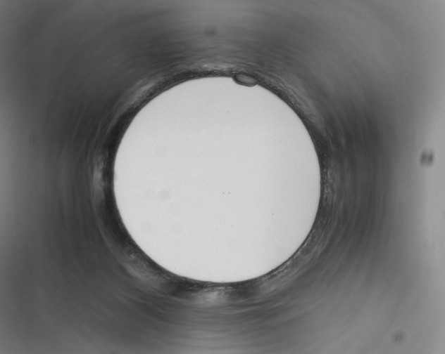 X0000116620116201001081240