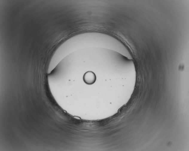 X0000116620117201001081240