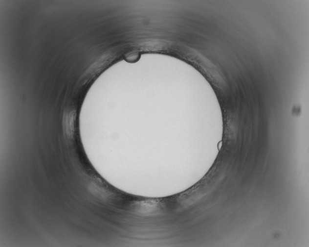 X0000116620118201001081240