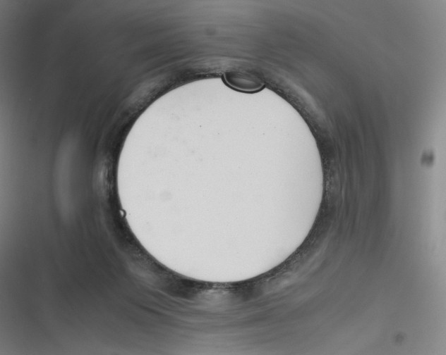 X0000116620119201001081240