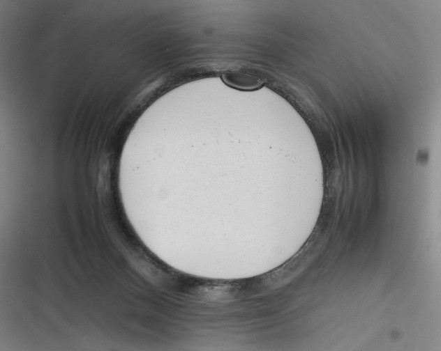 X0000116620120201001081240