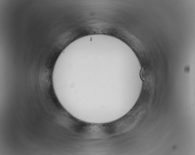 X0000116620121201001081240