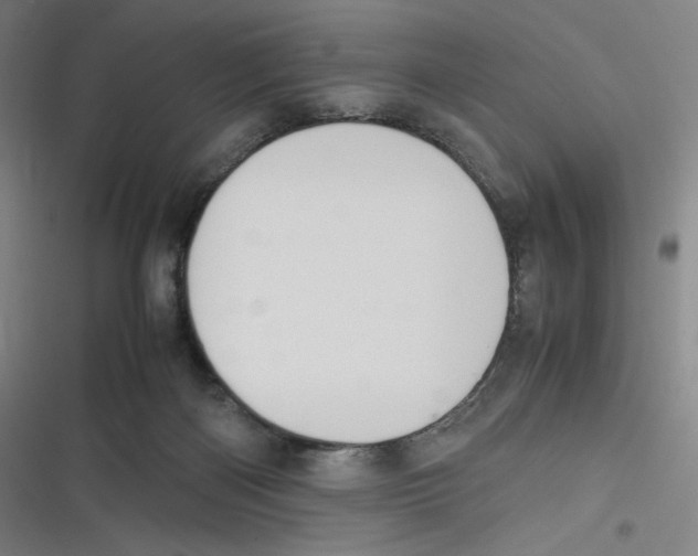 X0000116620122201001081240