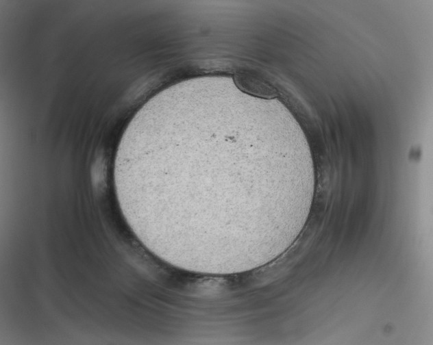 X0000116620124201001081240