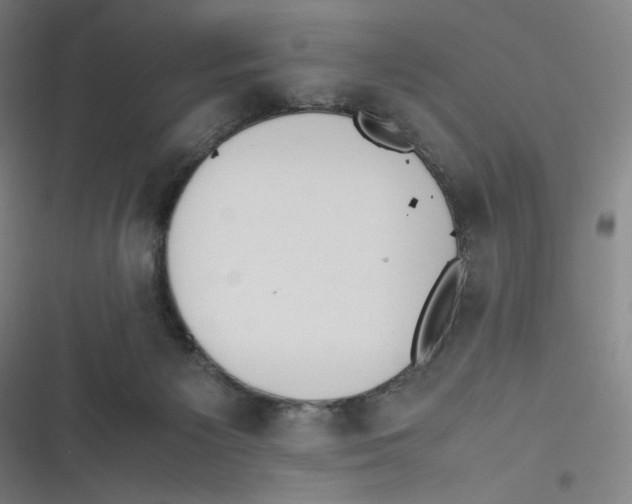 X0000116620125201001081240