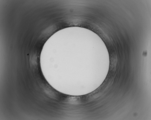 X0000116620126201001081240