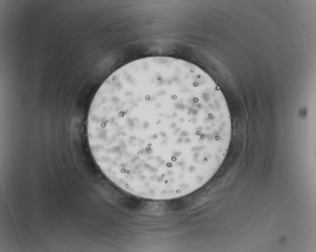 X0000116620127201001081240