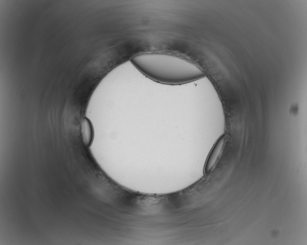 X0000116620129201001081239