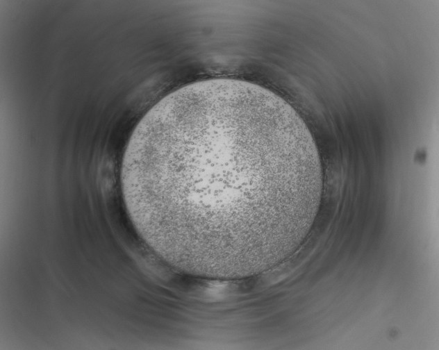 X0000116620130201001081239