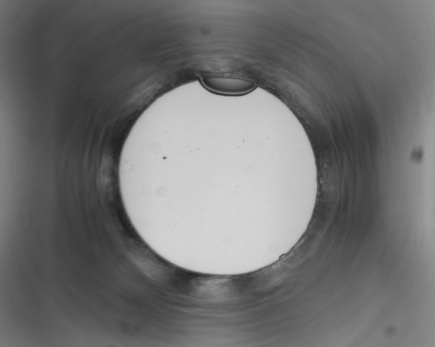 X0000116620132201001081239