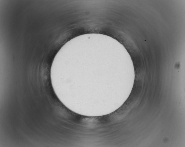 X0000116620133201001081239