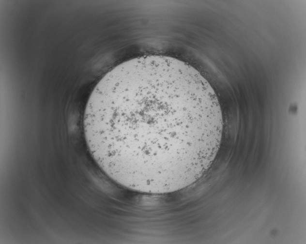 X0000116620134201001081239