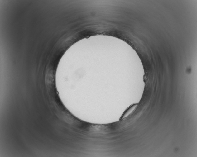 X0000116620137201001081239