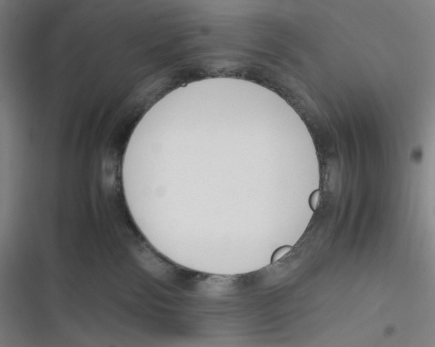 X0000116620138201001081239