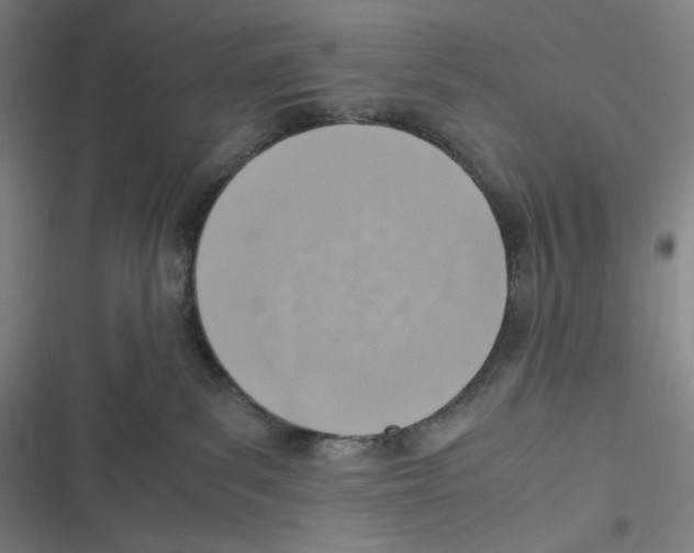 X0000116620139201001081239