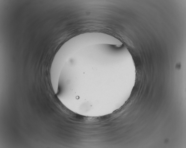 X0000116620141201001081239