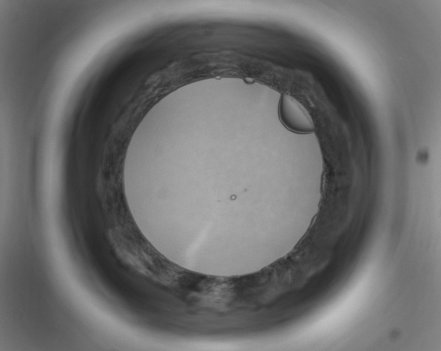 X0000116620143201001081239