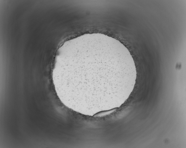 X0000116620144201001081239