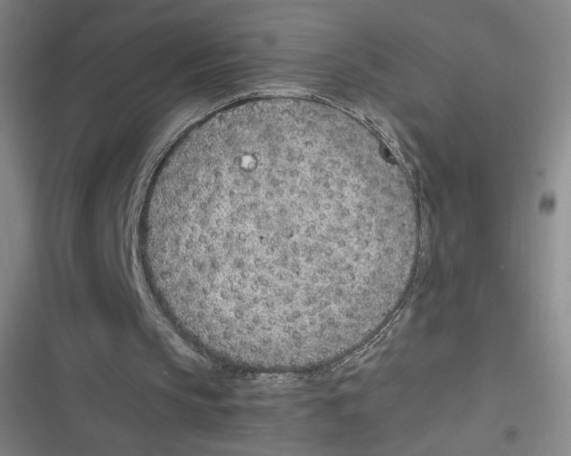 X0000116620145201001081239