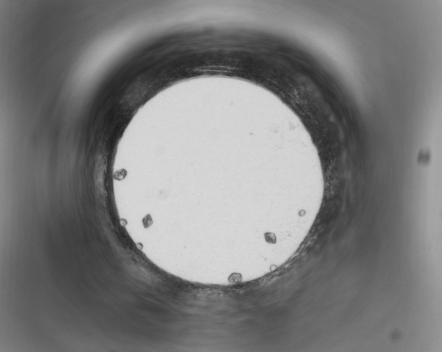 X0000116620146201001081239