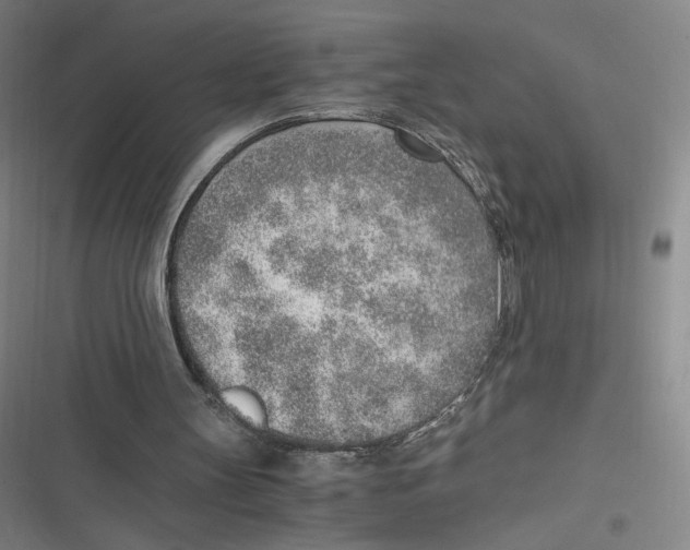 X0000116620147201001081239