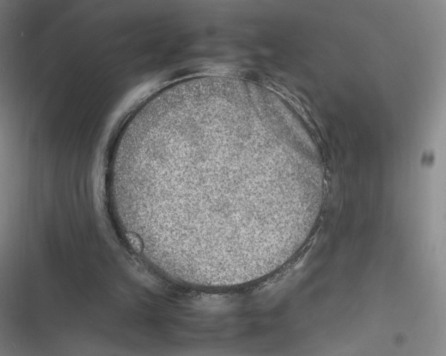 X0000116620149201001081239