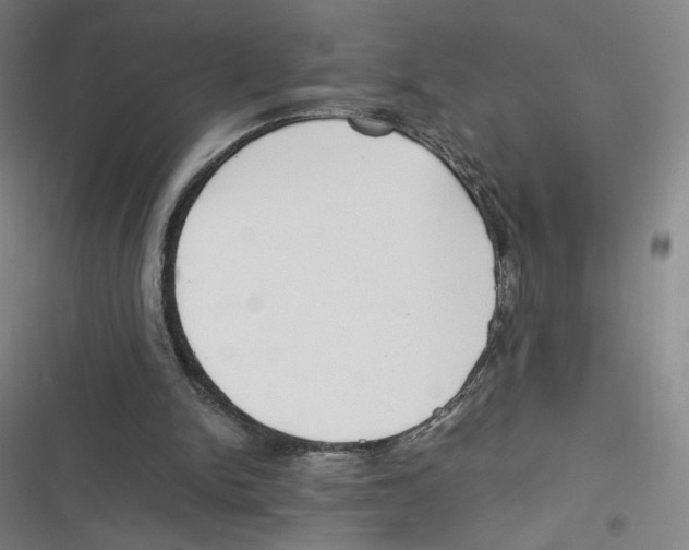 X0000116620150201001081239