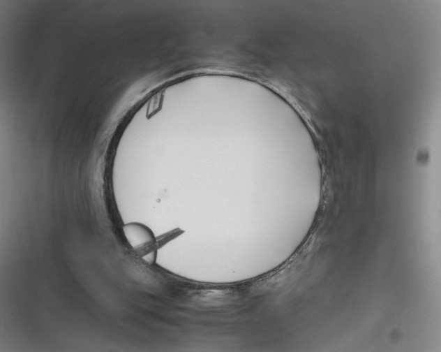 X0000116620151201001081239