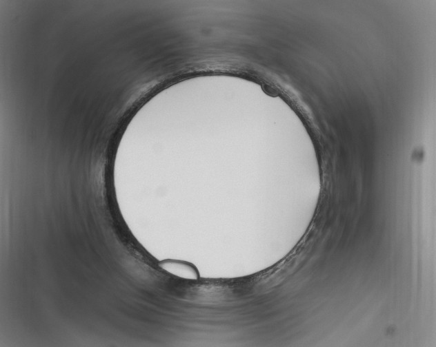 X0000116620154201001081239