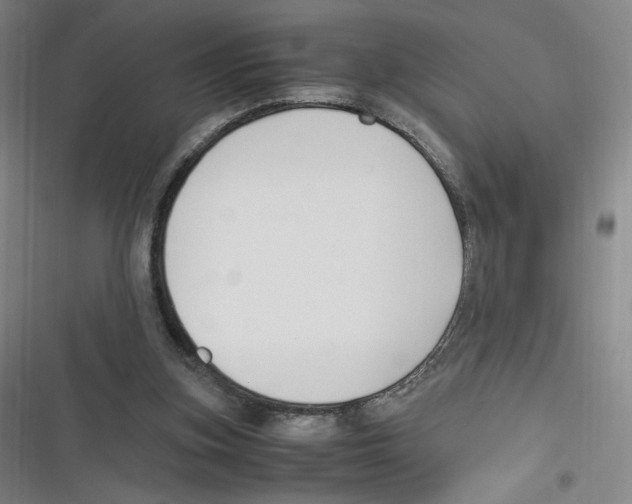 X0000116620155201001081239