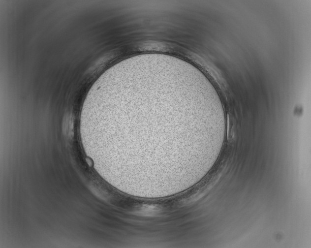 X0000116620157201001081239