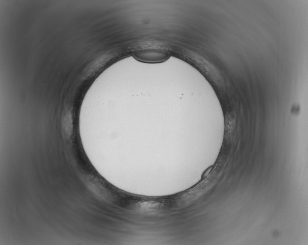 X0000116620158201001081239