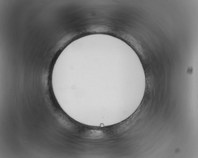 X0000116620159201001081239