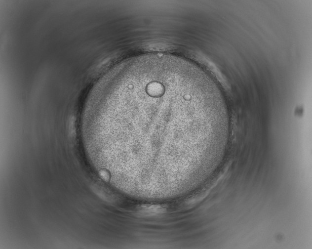 X0000116620161201001081239