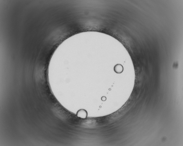 X0000116620162201001081239