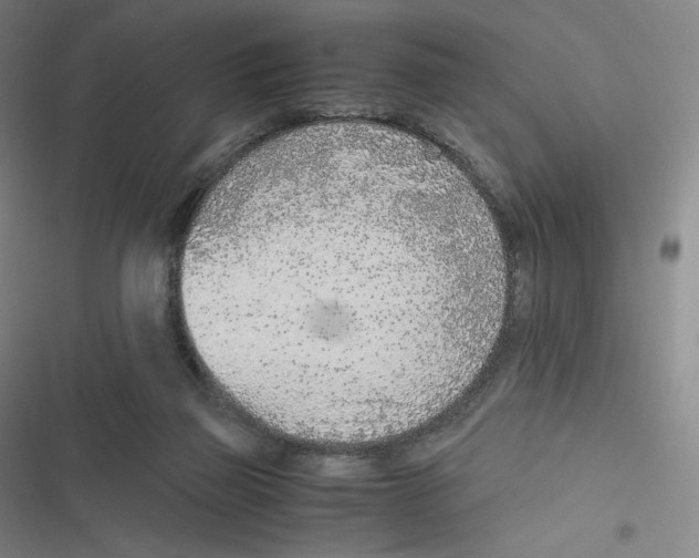 X0000116620165201001081239