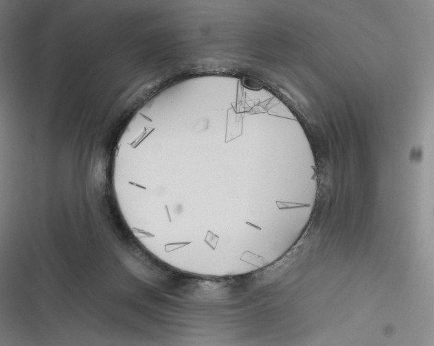 X0000116620166201001081239