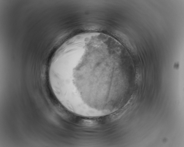 X0000116620167201001081239