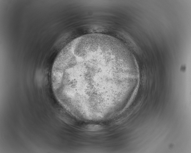 X0000116620169201001081239