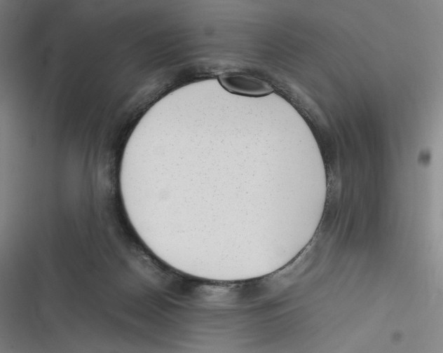 X0000116620170201001081239