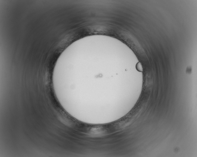 X0000116620173201001081239