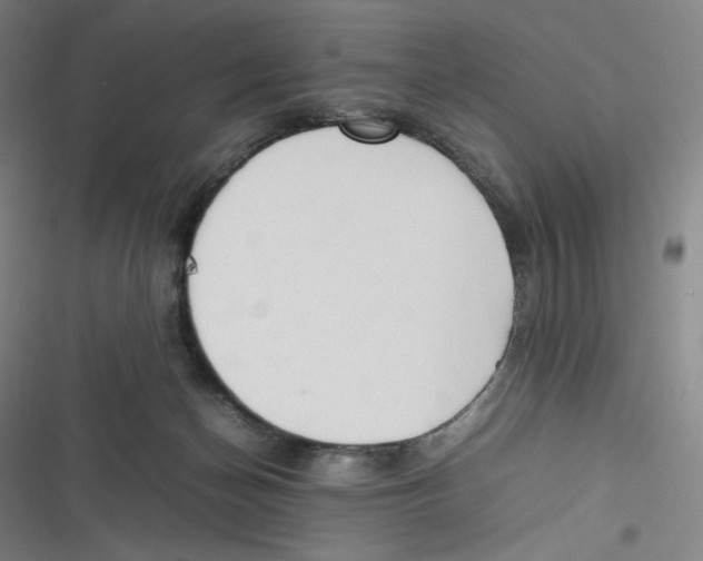 X0000116620174201001081239