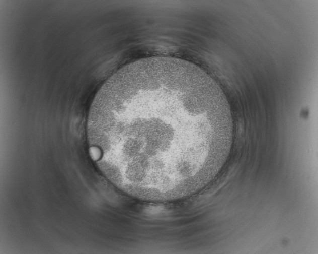 X0000116620177201001081239