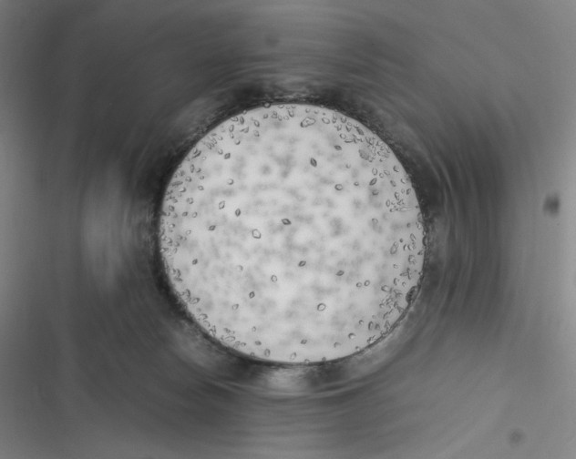 X0000116620178201001081239