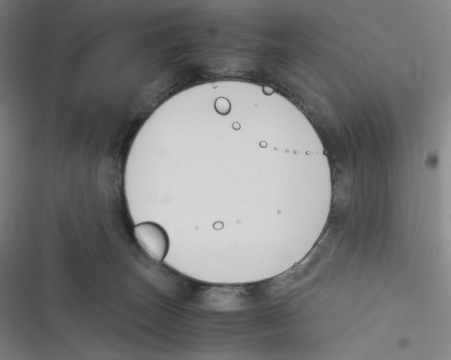 X0000116620179201001081239