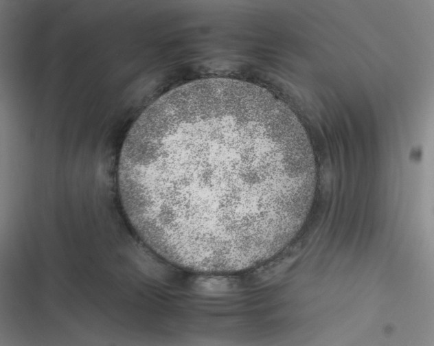 X0000116620181201001081239