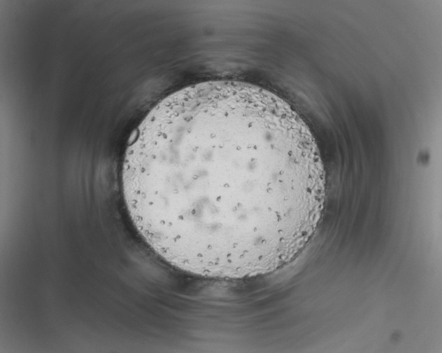 X0000116620182201001081239